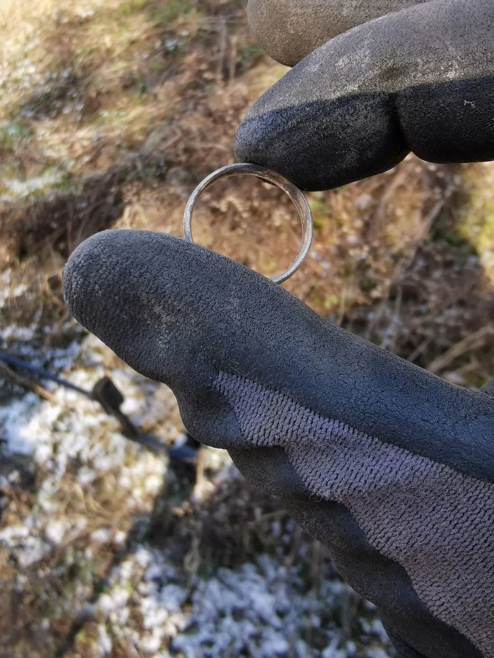 Ehering nach drei Jahren im Thüringer Wald gefunden