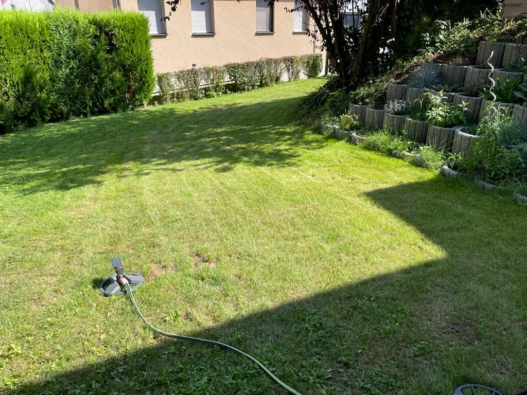 Foto 2 vom Einsatz: Baut man etwas Neues auf, kann etwas Altes verschwinden