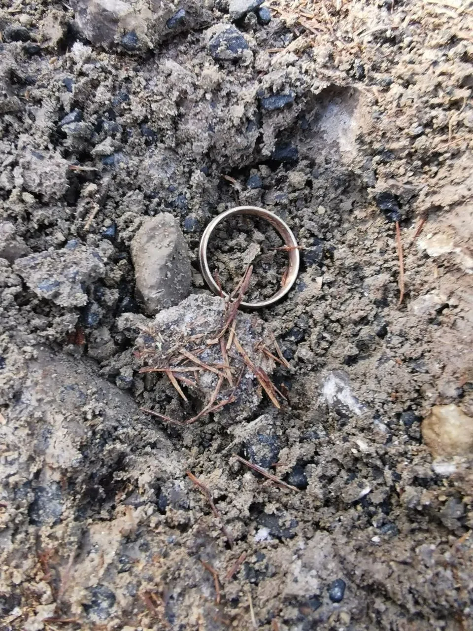 Foto 2 vom Einsatz: Ehering nach drei Jahren im Thüringer Wald gefunden