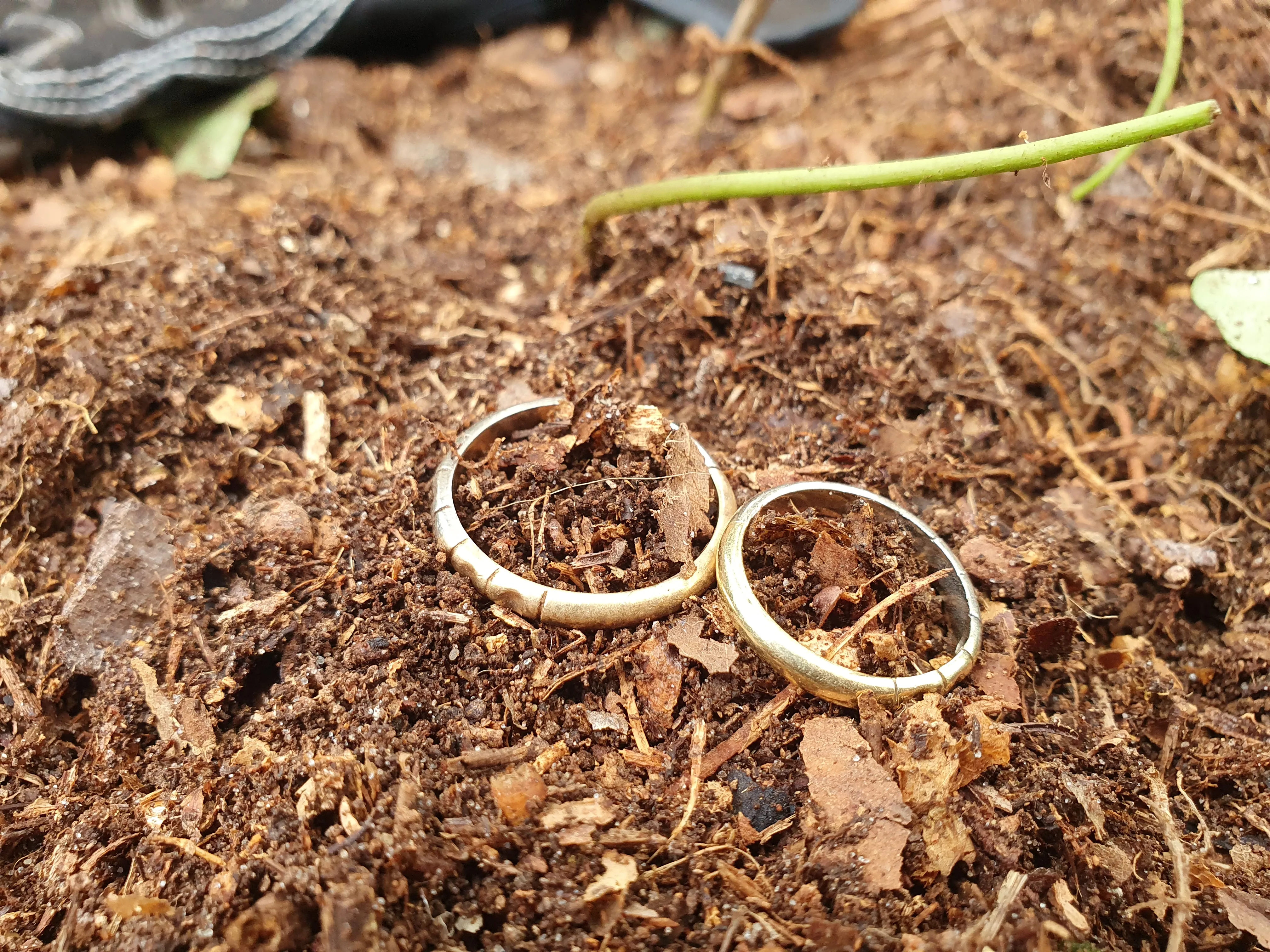 Zwei gefundene Eheringe in der Erde