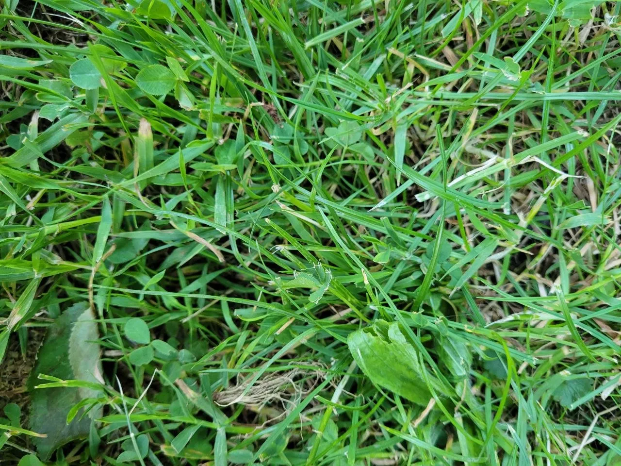 Foto 2 vom Einsatz: Ehering in Reudern verloren – nach gut zwei Stunden zurück