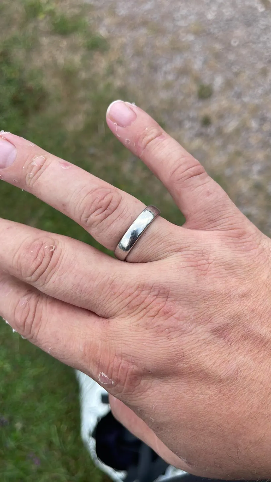 Bild 2 zum Auftrag Ring im Flachwasser verloren