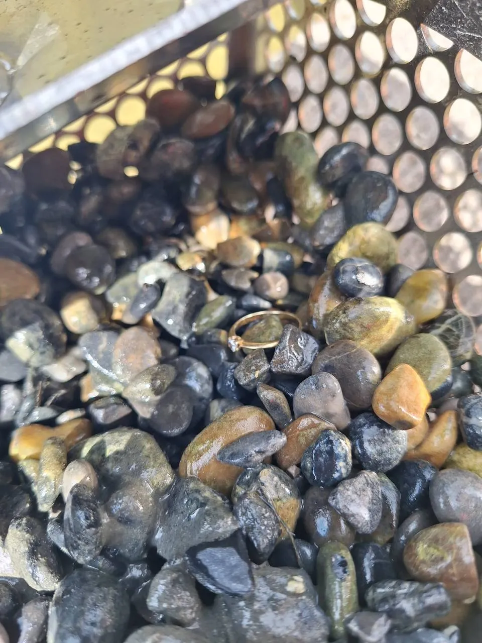 Foto 2 vom Einsatz: Verlobungsring aus dem Badeweiher bei Wemding zurück