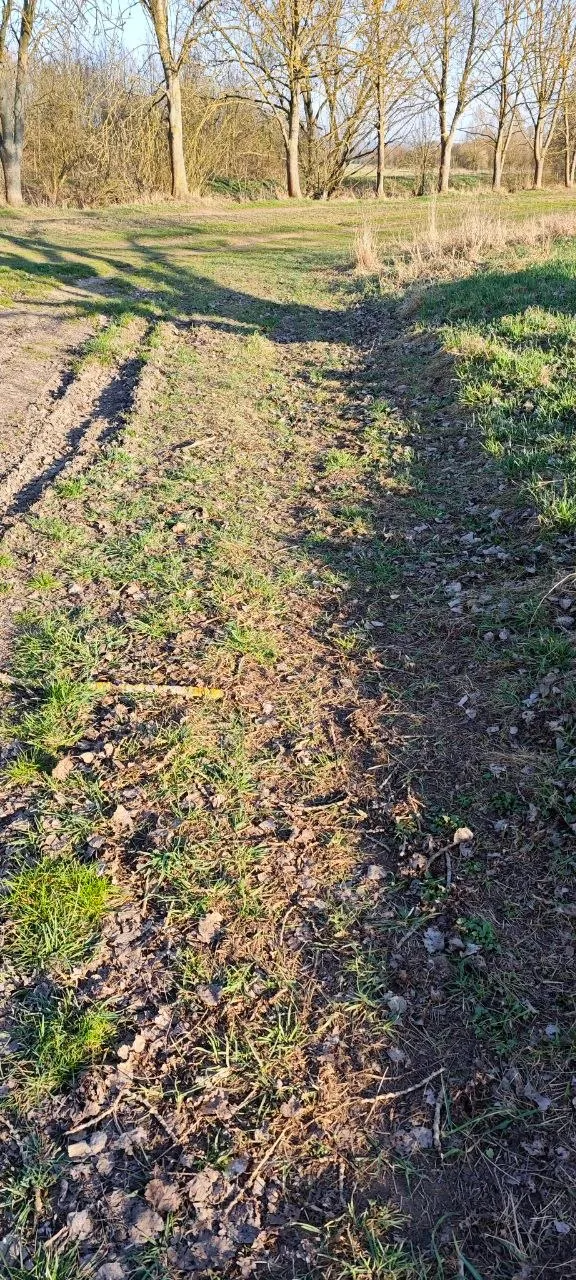 Foto 3 vom Einsatz: Ring im Laub bei Oberröblingen wiedergefunden
