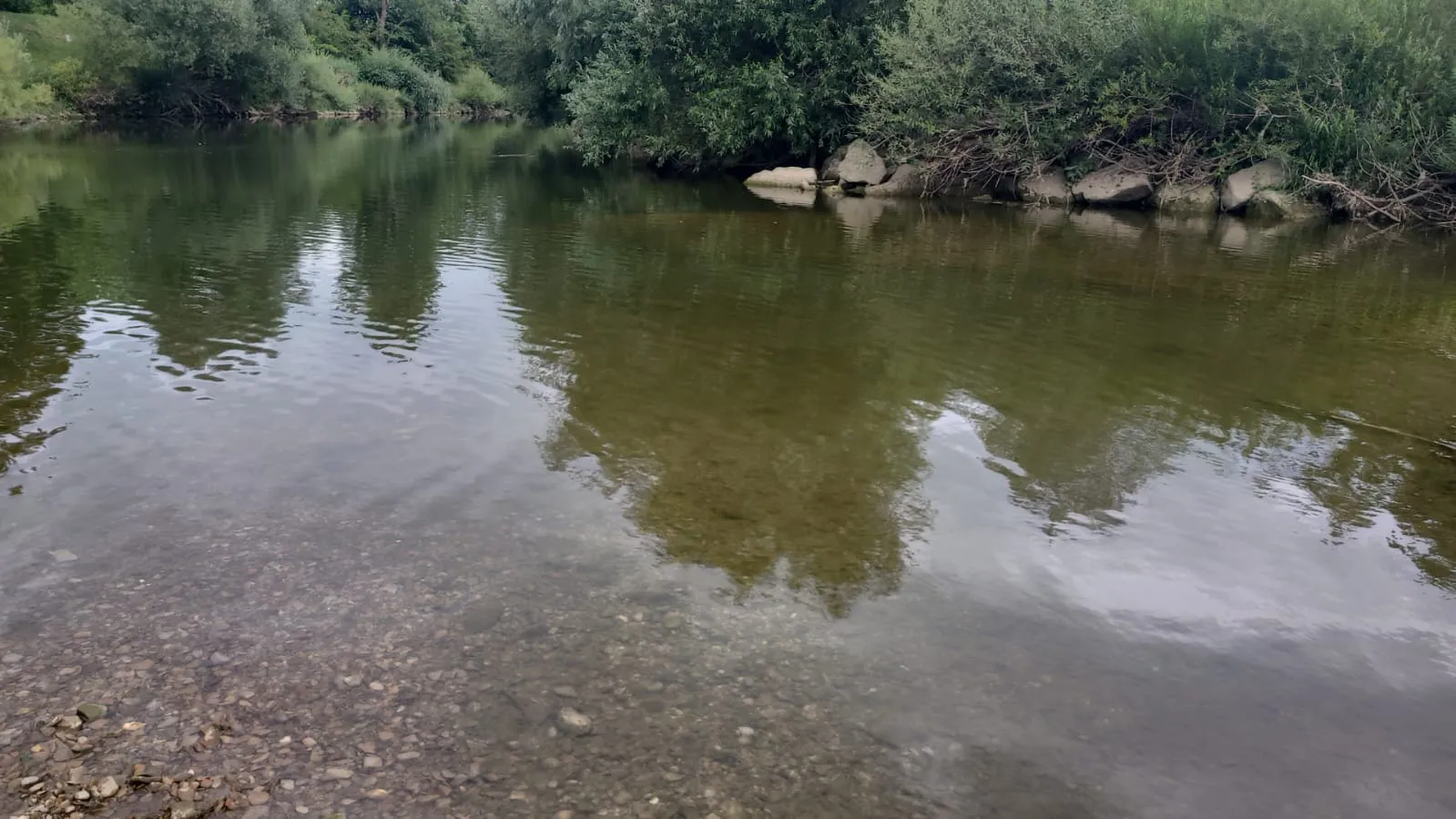 Bild 3 zum Auftrag Ring im Neckar verloren