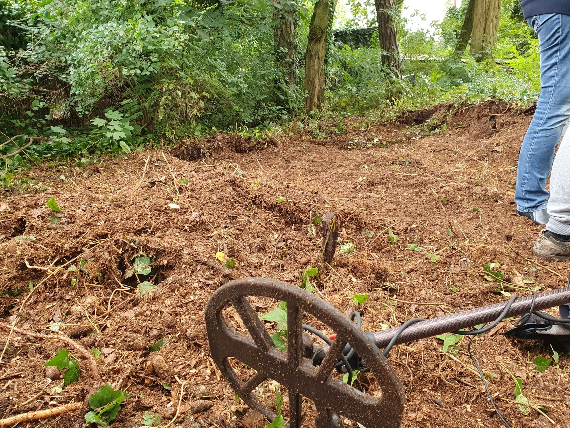 Foto 4 vom Einsatz: Entweder Goldring oder Brilli