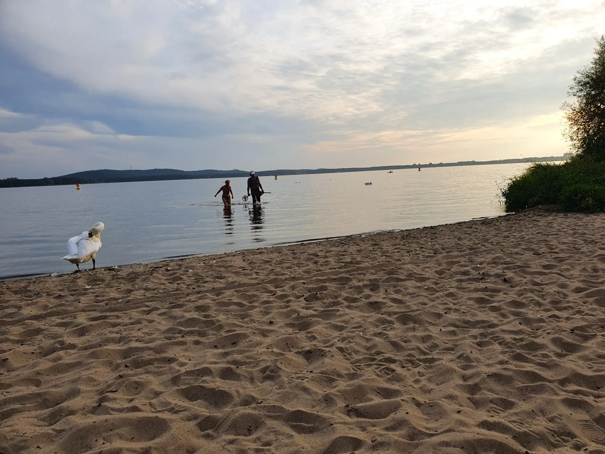 Foto 4 vom Einsatz: Eine Koralle im Müggelsee
