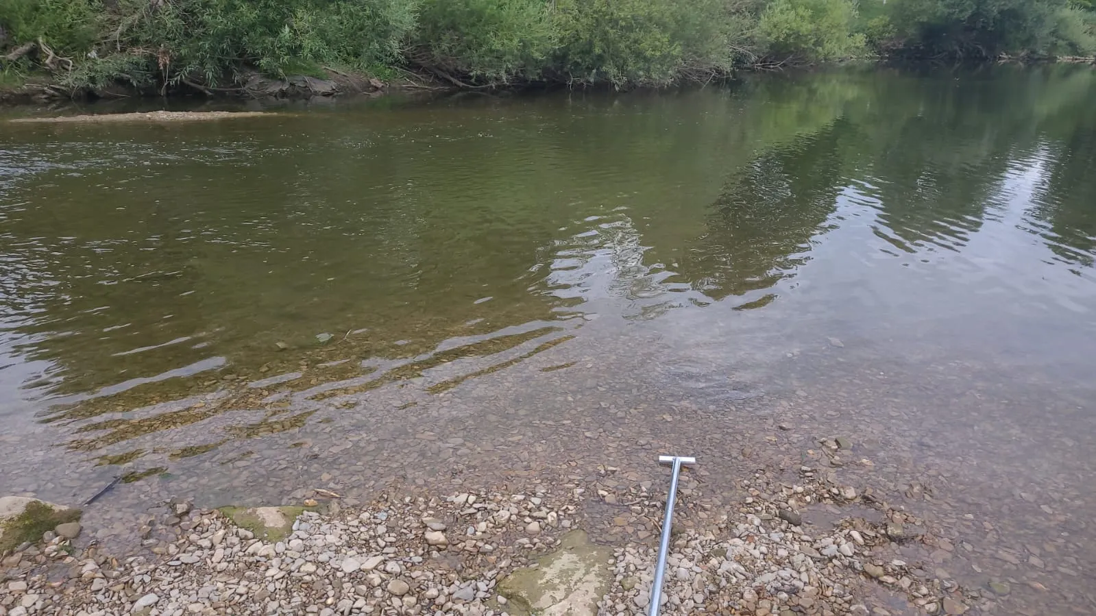 Bild 4 zum Auftrag Ring im Neckar verloren