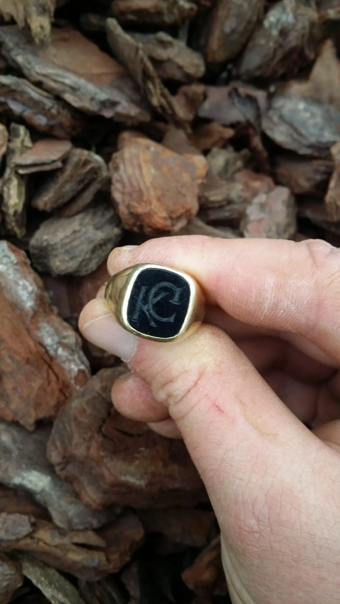 Bild 4 zum Auftrag Auf allen Vieren erfolgreich zum Ring