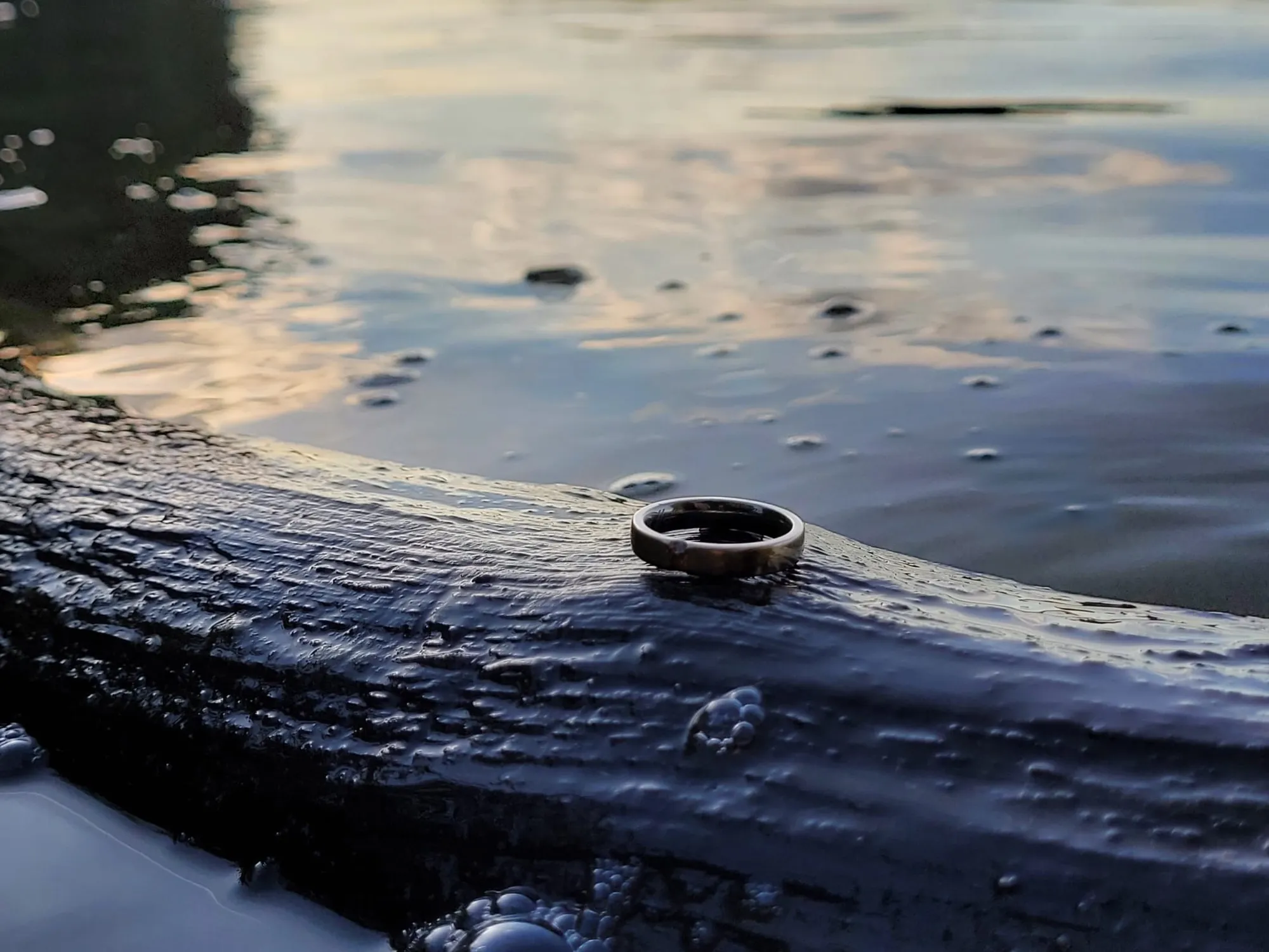 Foto 4 vom Einsatz: Ring in Grünheide verloren