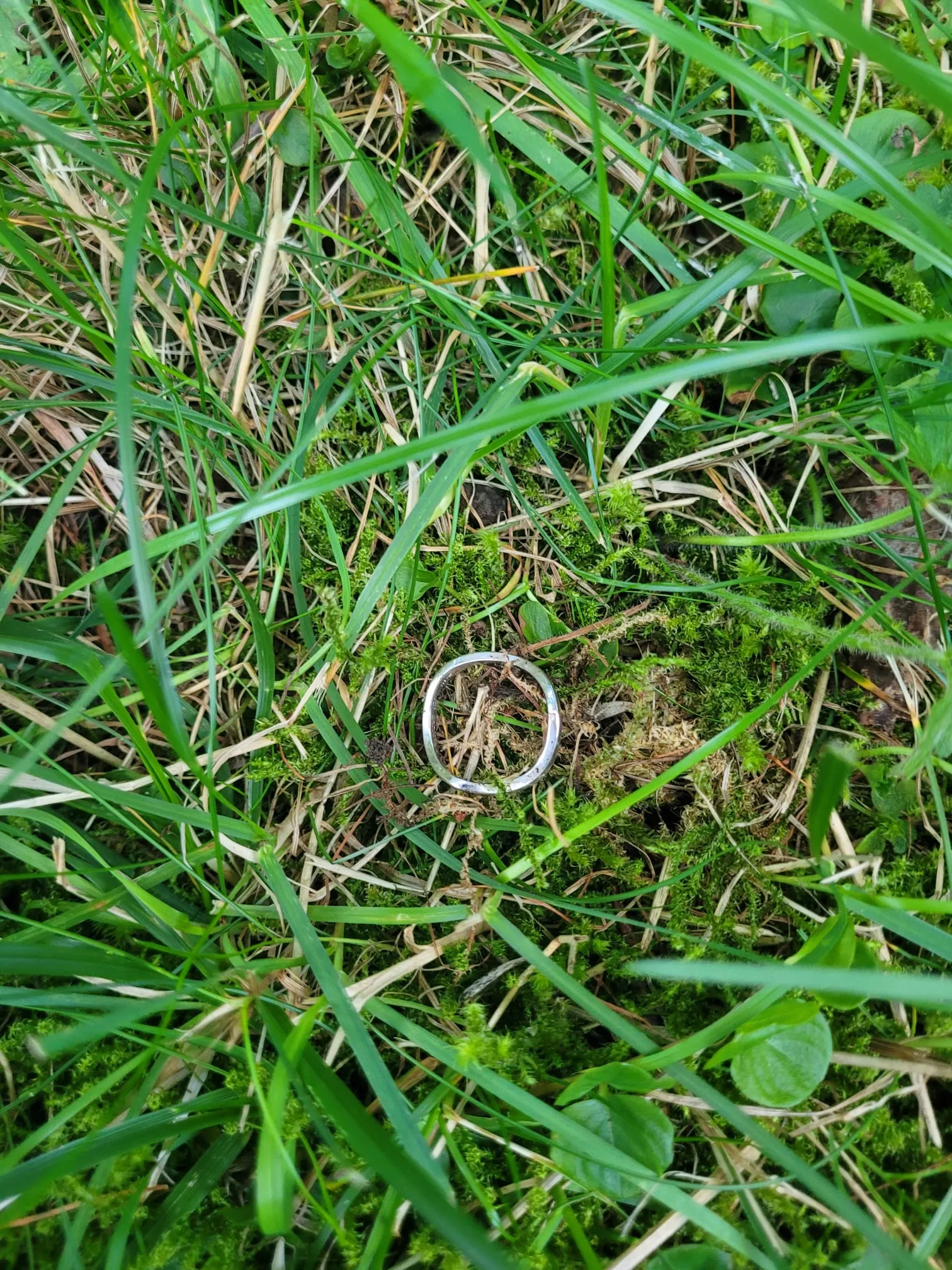 Bild 4 zum Auftrag Ring auf Feriengrundstück verloren