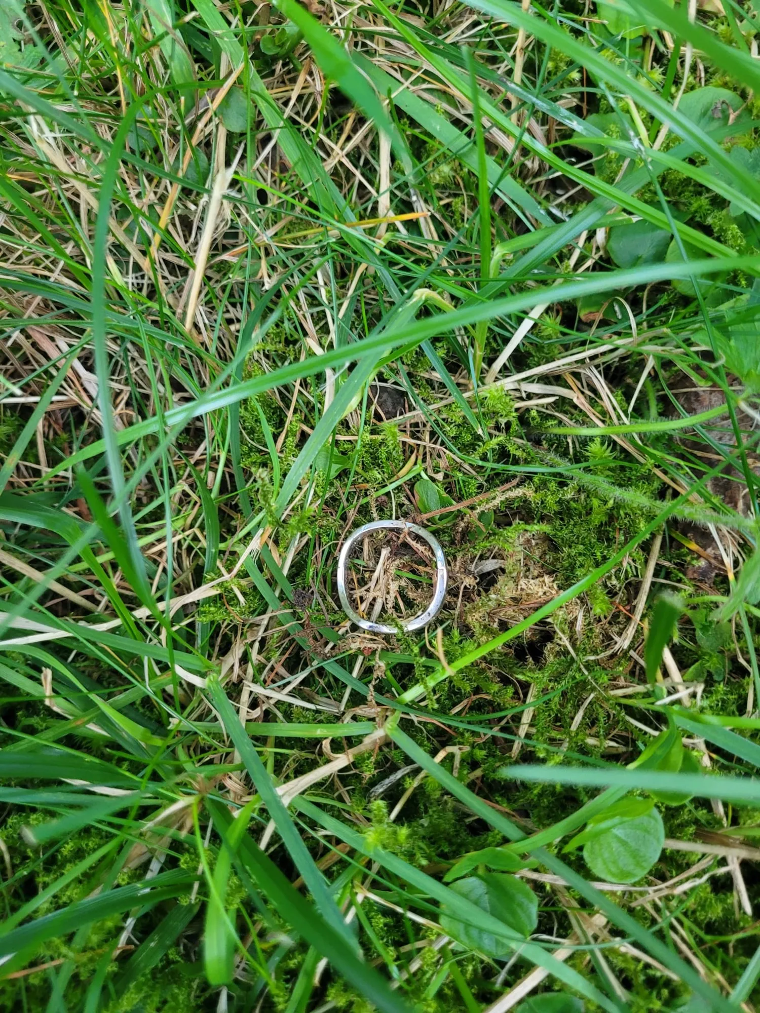 Foto 4 vom Einsatz: Ring auf Feriengrundstück verloren