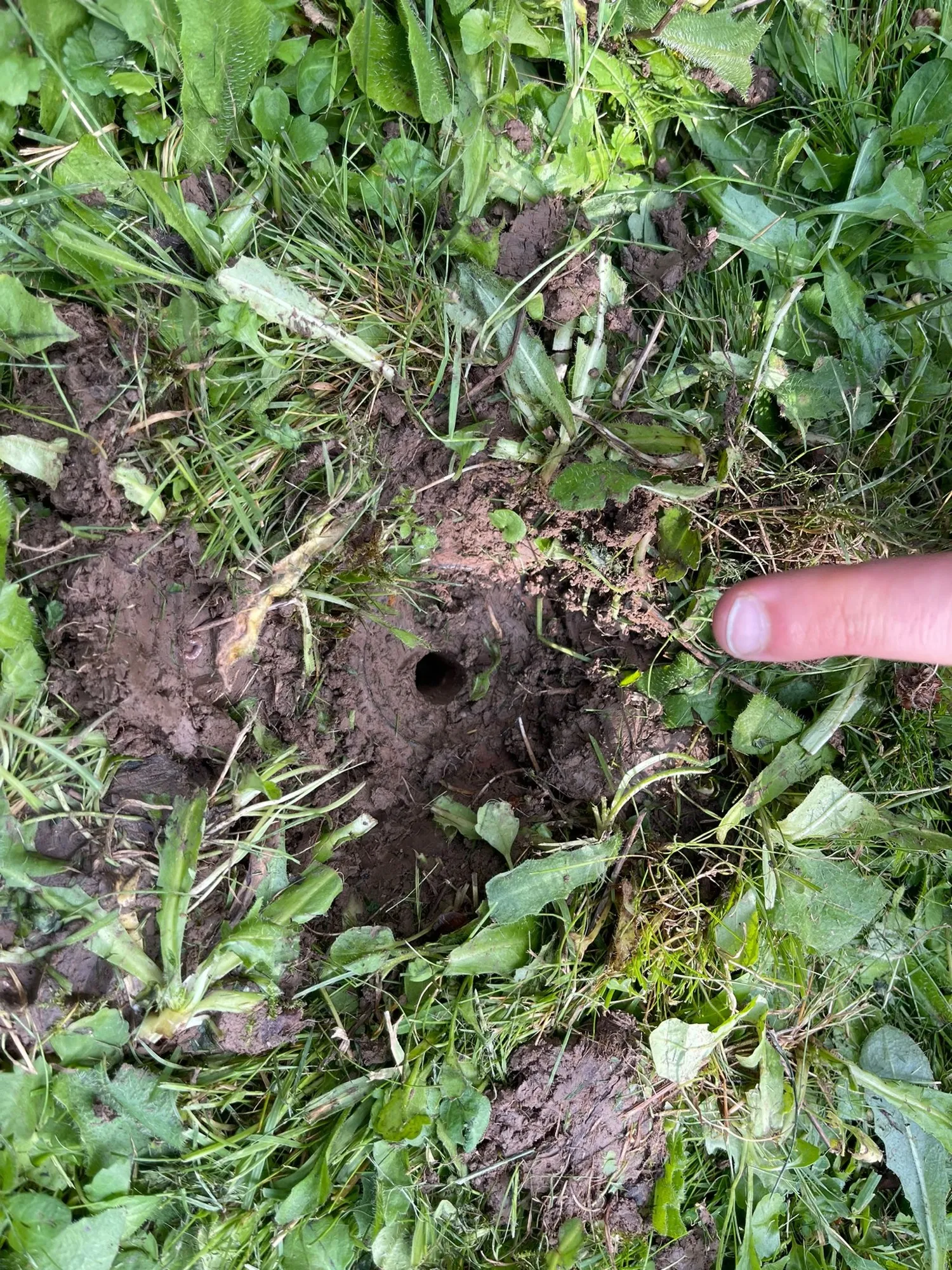 Foto 5 vom Einsatz: Baut man etwas Neues auf, kann etwas Altes verschwinden