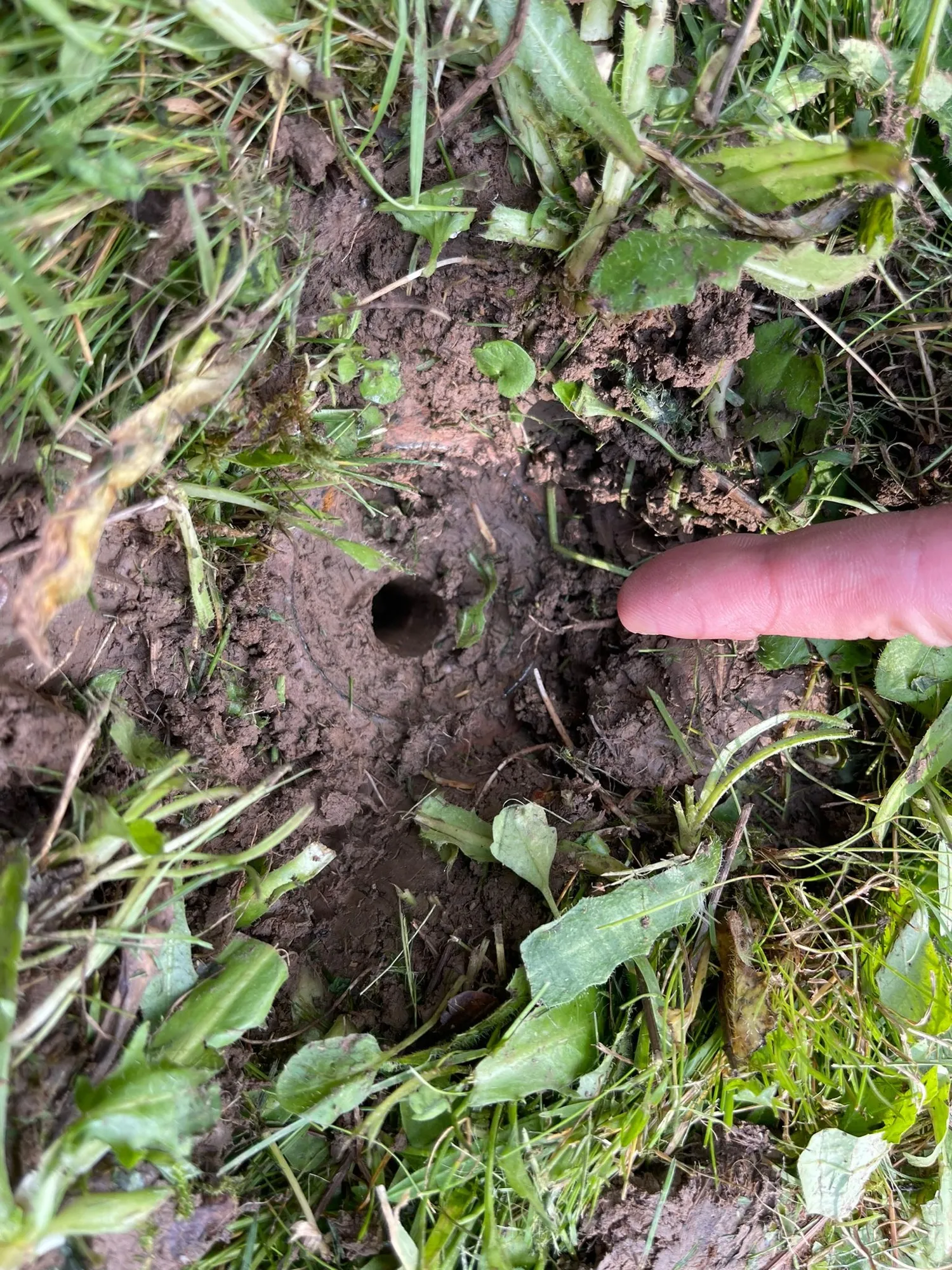 Foto 6 vom Einsatz: Baut man etwas Neues auf, kann etwas Altes verschwinden