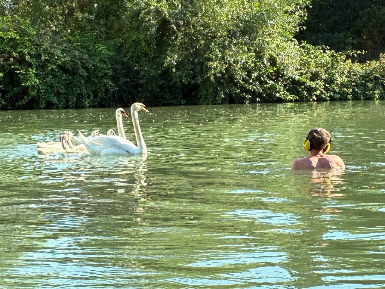 Foto 7 vom Einsatz: Handy und Autoschlüssel aus dem Stichkanal geborgen