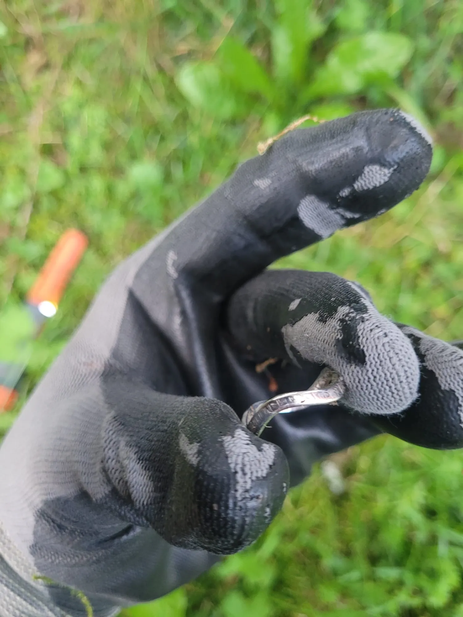 Foto 8 vom Einsatz: Ring auf Feriengrundstück verloren